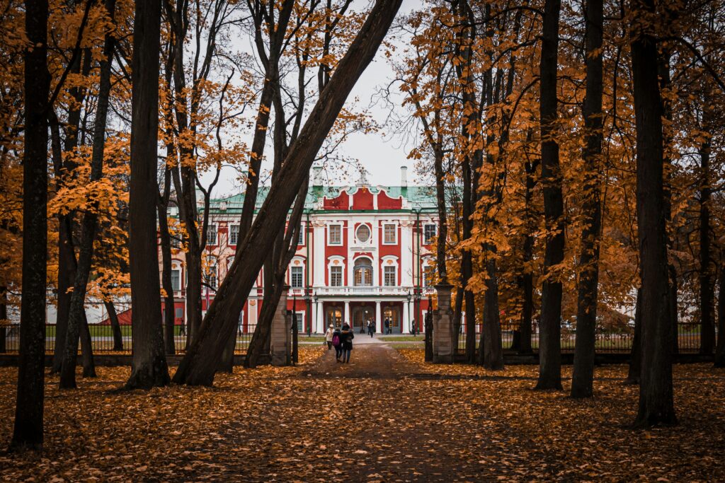 Tallinn Old Town panorama – home of Museumist and Estonia's vibrant art scene
