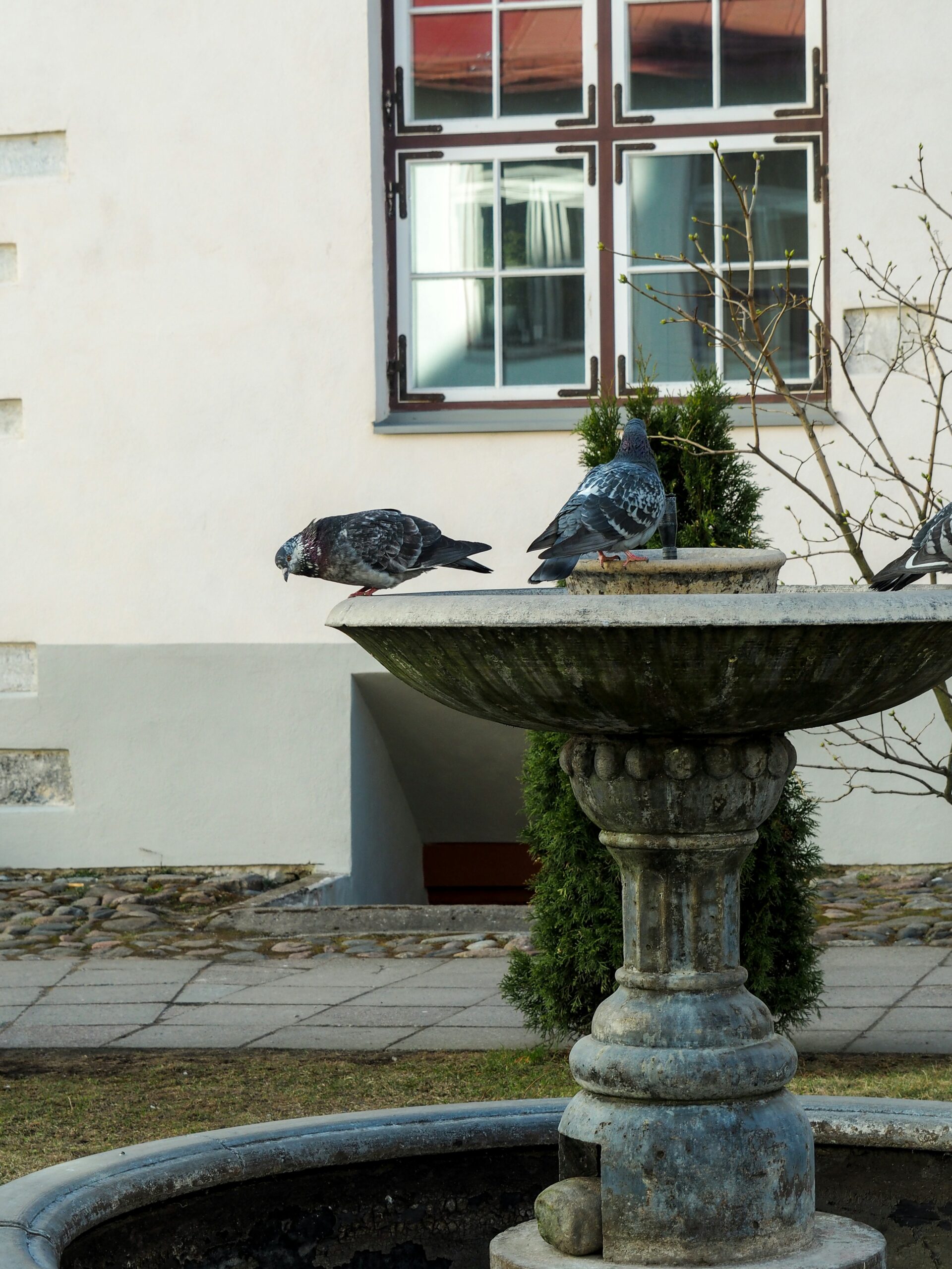 Estonian art and culture – the rich artistic heritage that inspires Museumist sock designs